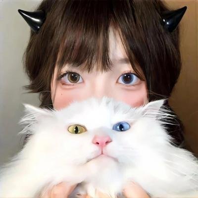 轻蔑